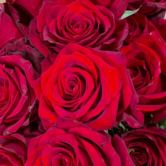 🌹🌹🌹Rose Soap Set [of 3] ALCHIMIA Made in Italy - Picture 4 of 6